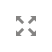 zoom icon